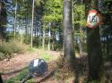 Nchstes Bild