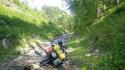 Vorheriges Bild