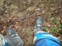 Vorheriges Bild