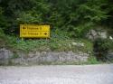 Vorheriges Bild