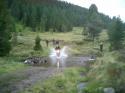 Nchstes Bild