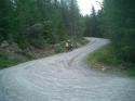 Vorheriges Bild