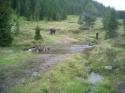 Nchstes Bild
