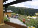 Vorheriges Bild