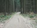 Nchstes Bild