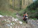 Vorheriges Bild