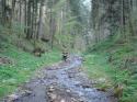 Vorheriges Bild