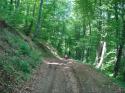 20070430-111622-MF.JPG