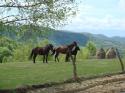20070430-120516-MF.JPG