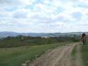 Vorheriges Bild