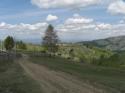 Vorheriges Bild