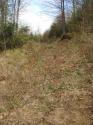 20070430-172316-MF.JPG
