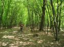 20070502-124402-MF.JPG