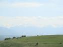 20070503-142432-MF.JPG
