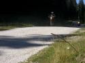 Vorheriges Bild
