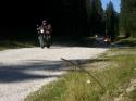 Vorheriges Bild