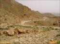nach Gafsa - 039