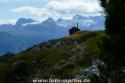 Blick vom Loser auf den Dachstein