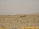 StarWars - Chott El Jerid - 022