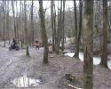 Nchstes Bild