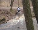 Vorheriges Bild
