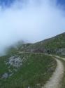 Vorheriges Bild