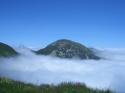 Vorheriges Bild