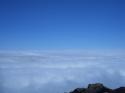 Vorheriges Bild