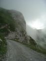 Vorheriges Bild