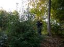 Vorheriges Bild