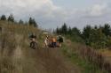 SLT-20081004-1449.JPG