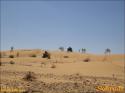 nach Ksar Ghilane - 015