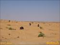 nach Ksar Ghilane - 030