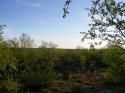 Nchstes Bild